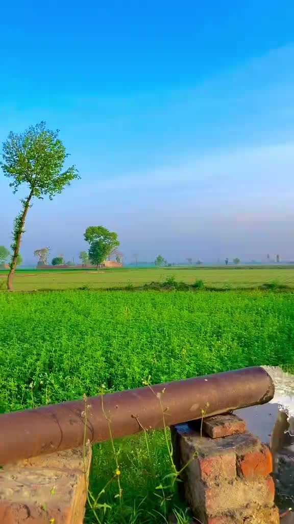 @🥷Malik Usman Khokhar 🥷🦅🦅