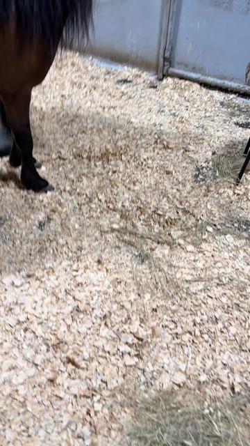 @Dr.Nicole-VetMed