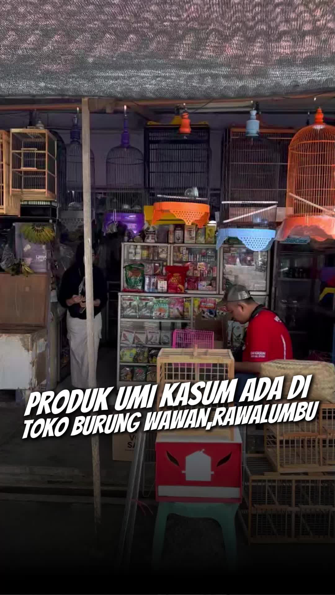 @umikasum.official