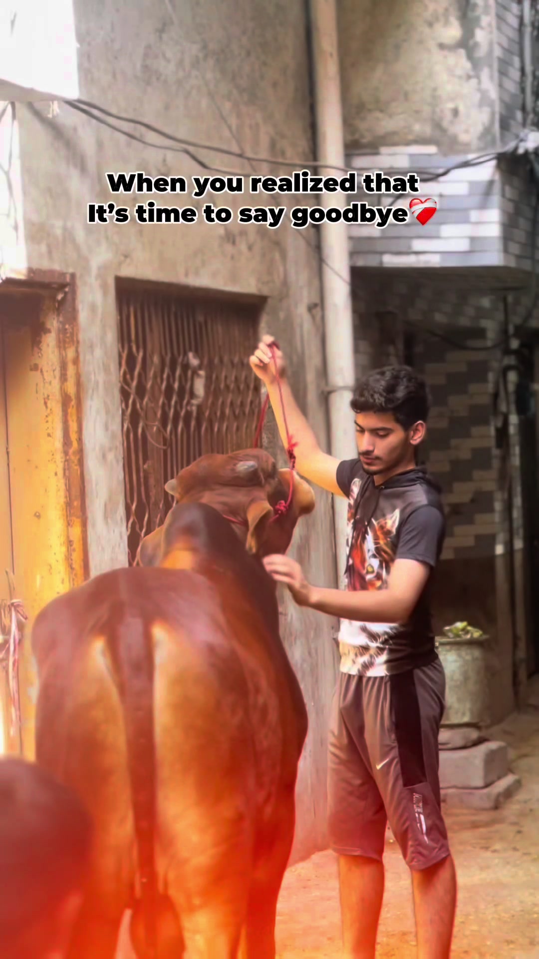 @طیب راٹھور🤴