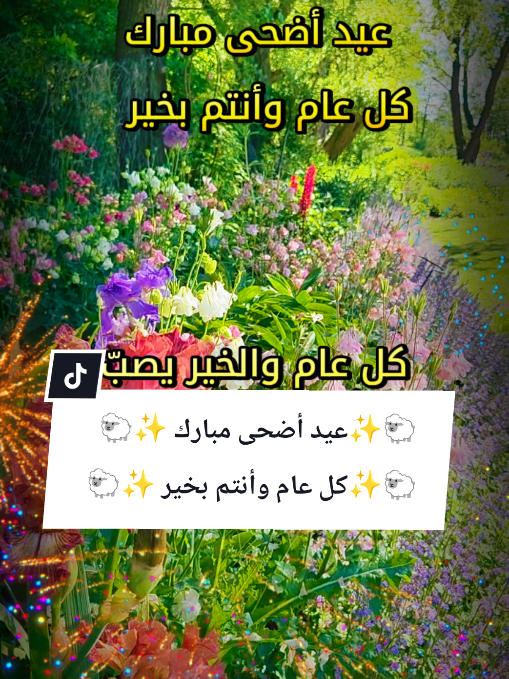 @🌟𝗦𝗼𝘂𝘇𝗮𝗻 𝗖𝗵𝗮𝗺𝘀