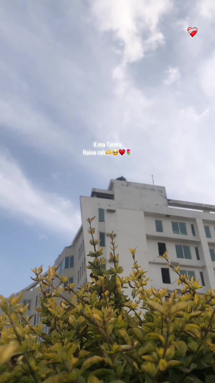 @🐼_KALEY_❤