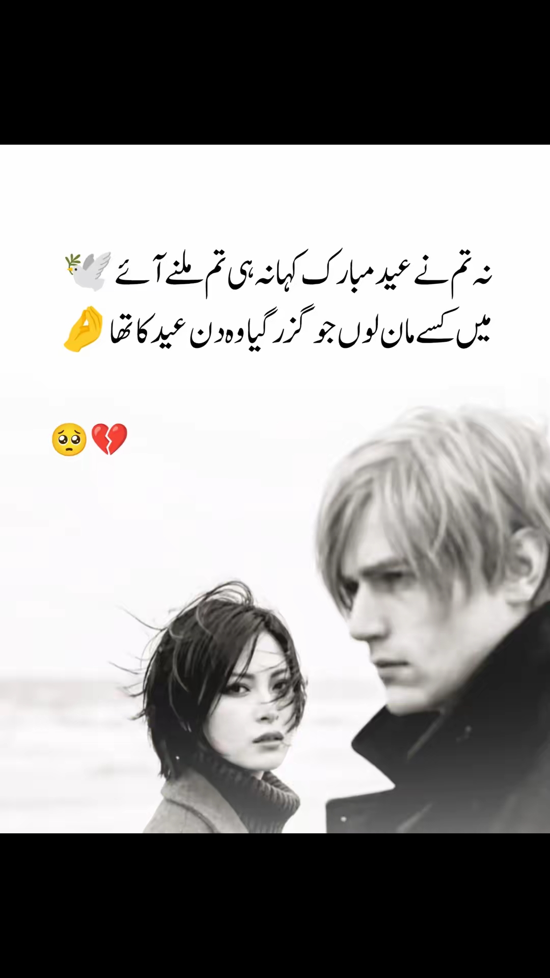 @️Tabib_Mayo.0047