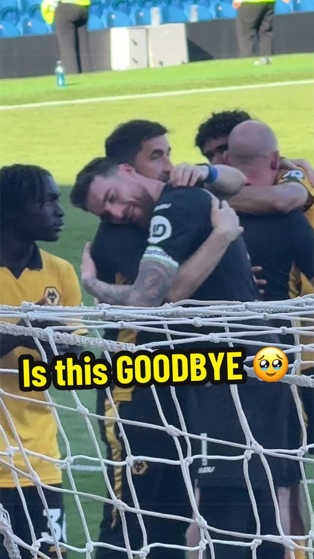 @ALWAYS WOLVES FAN TV