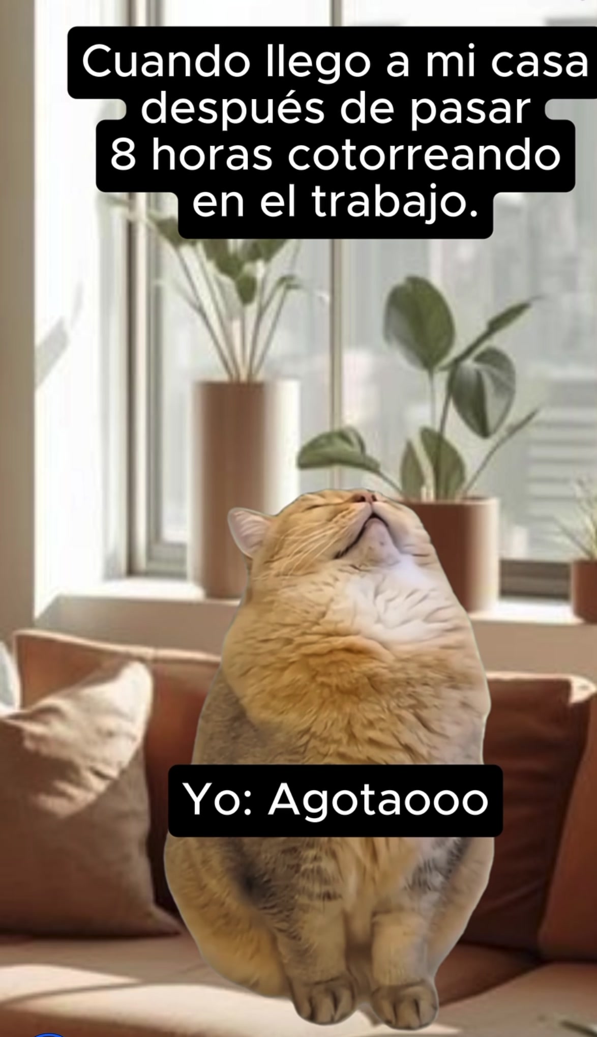 @Kayejero