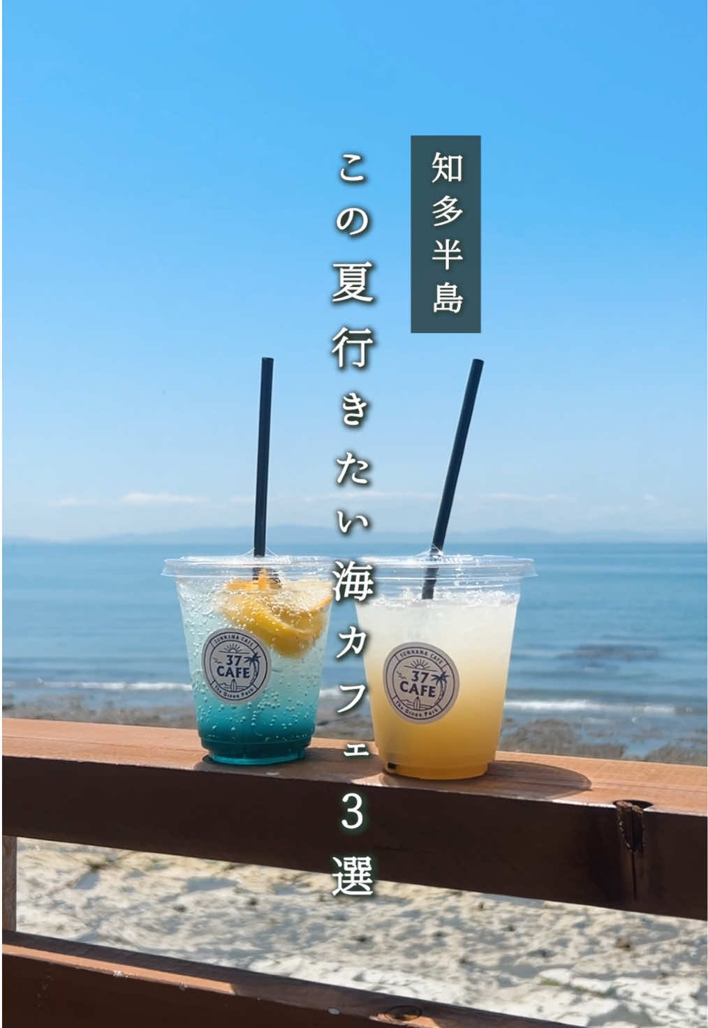 @ちたたび🦘愛知で遊ぶなら知多へ行こう