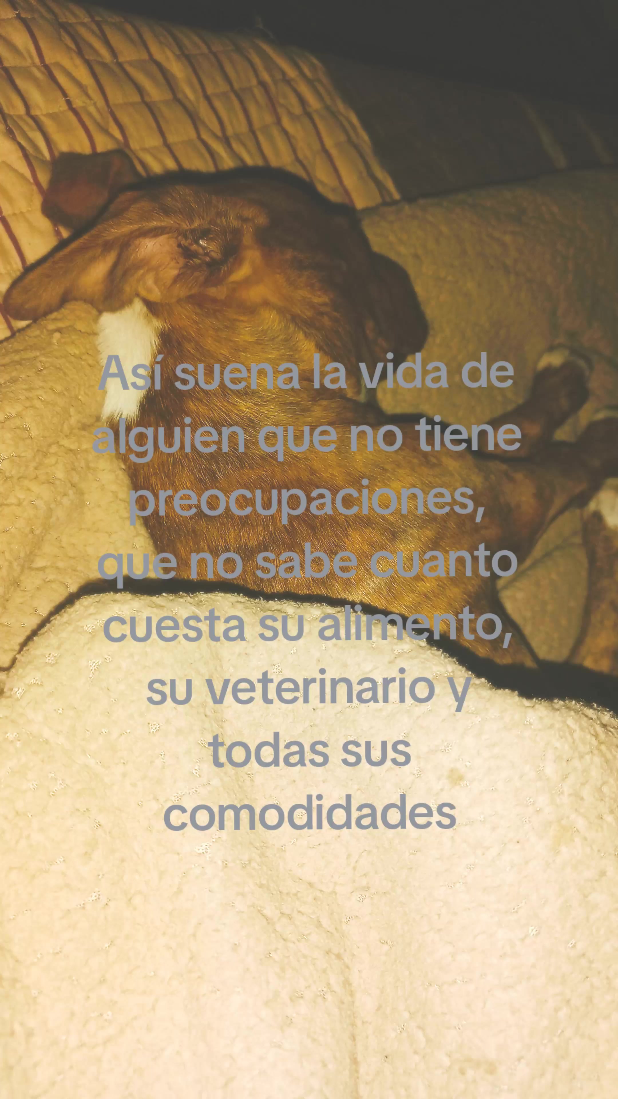 @️Noe:)