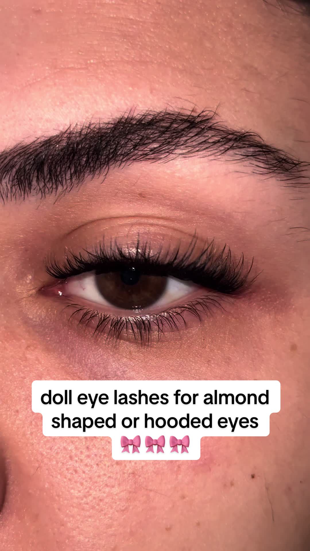 @lady & bugs