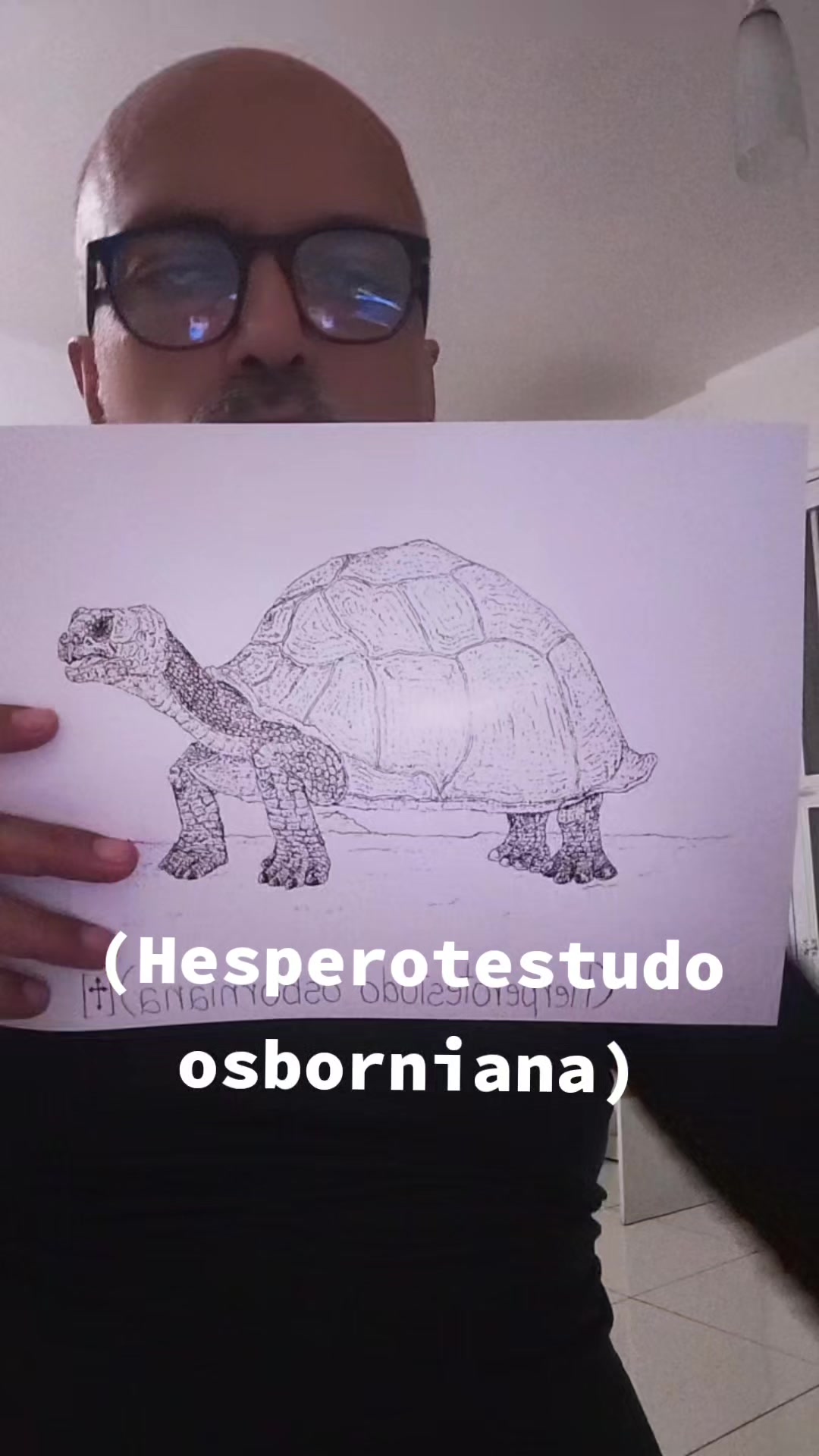 @Afonso Henrique