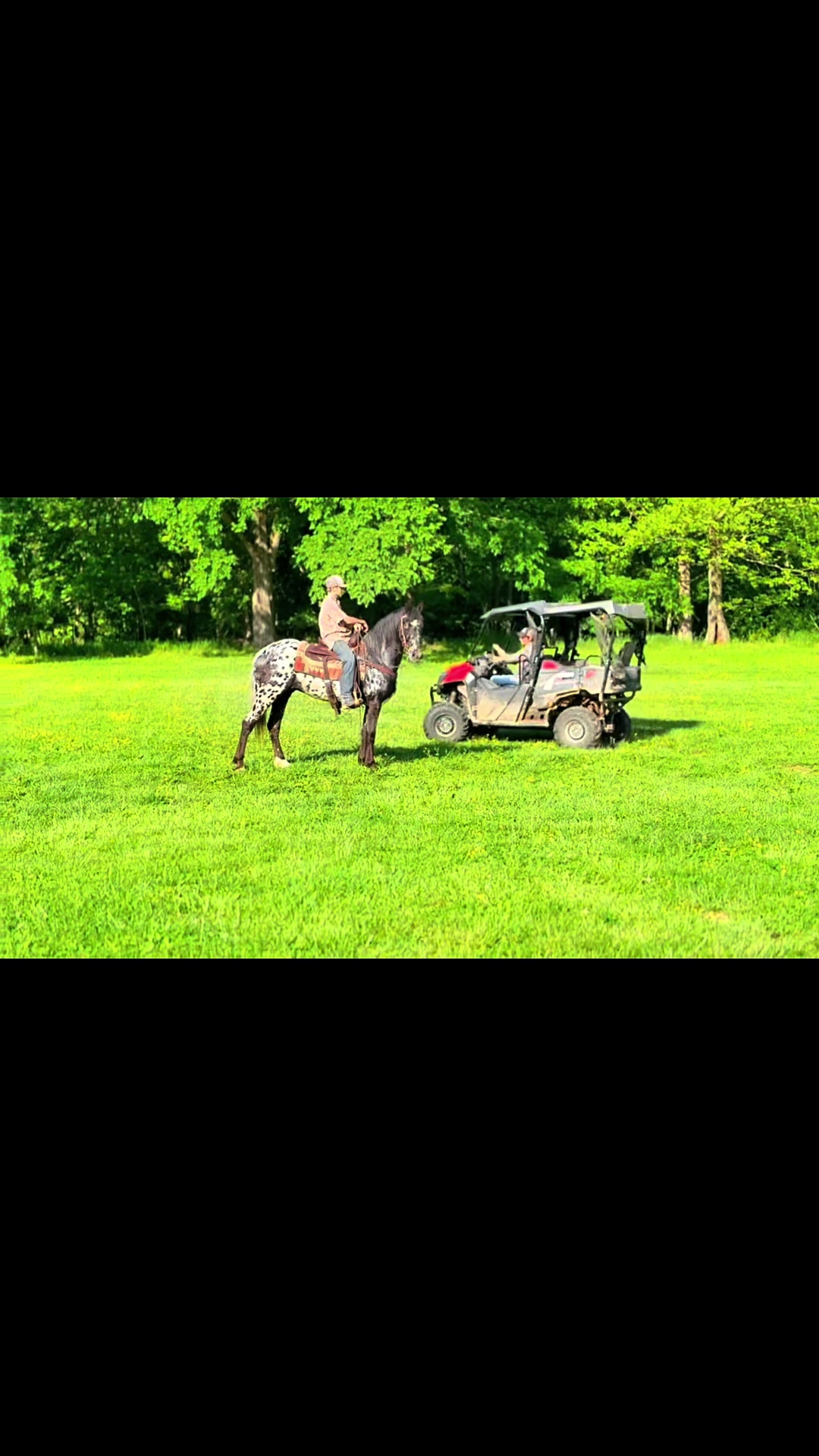 @Lucky D Ranch 🍀