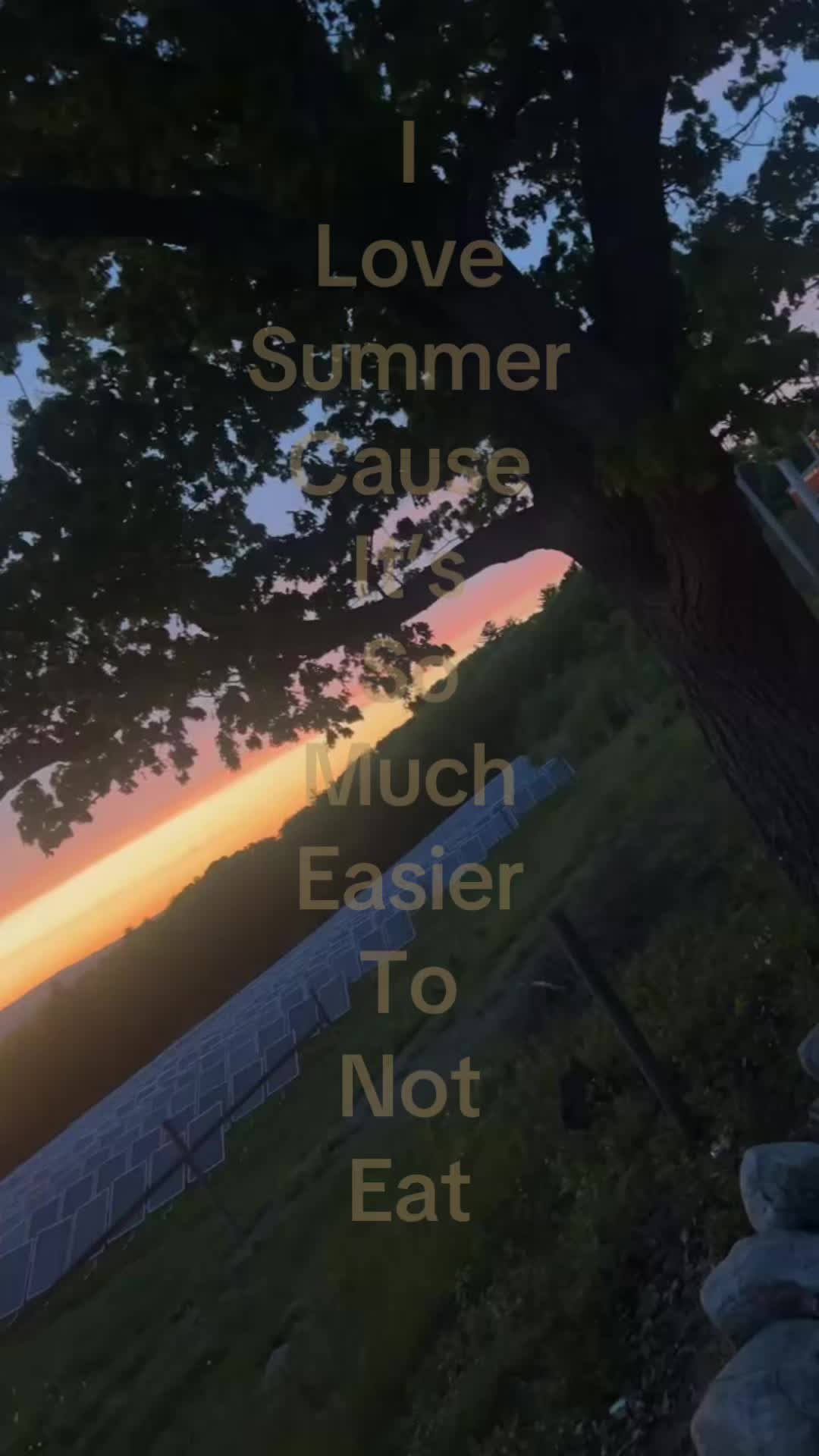 @🍉🫆🪱
