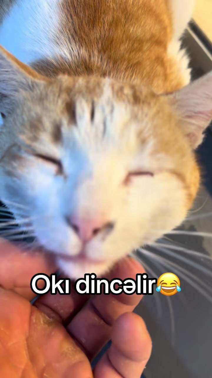 @Qalib999
