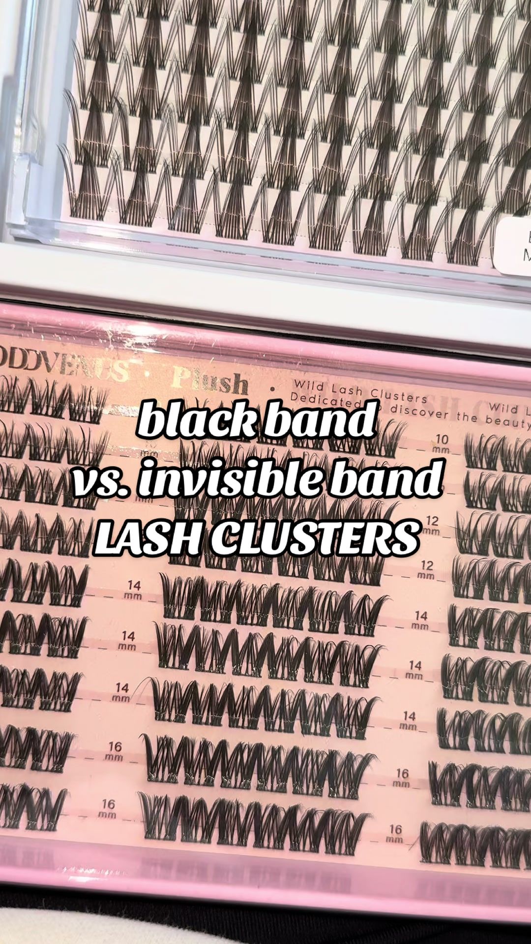@lady & bugs