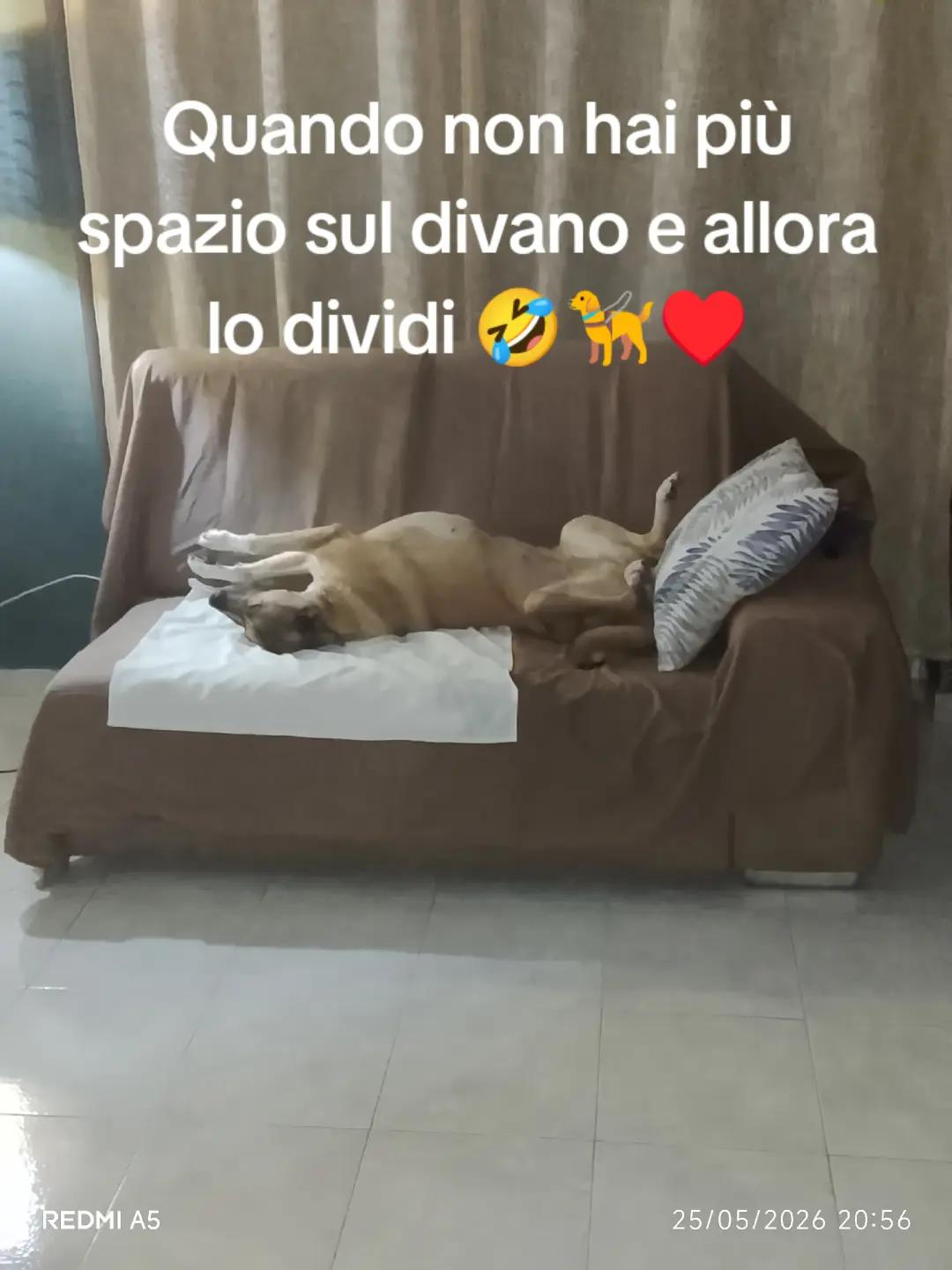 @ketty  la napoletana partenope