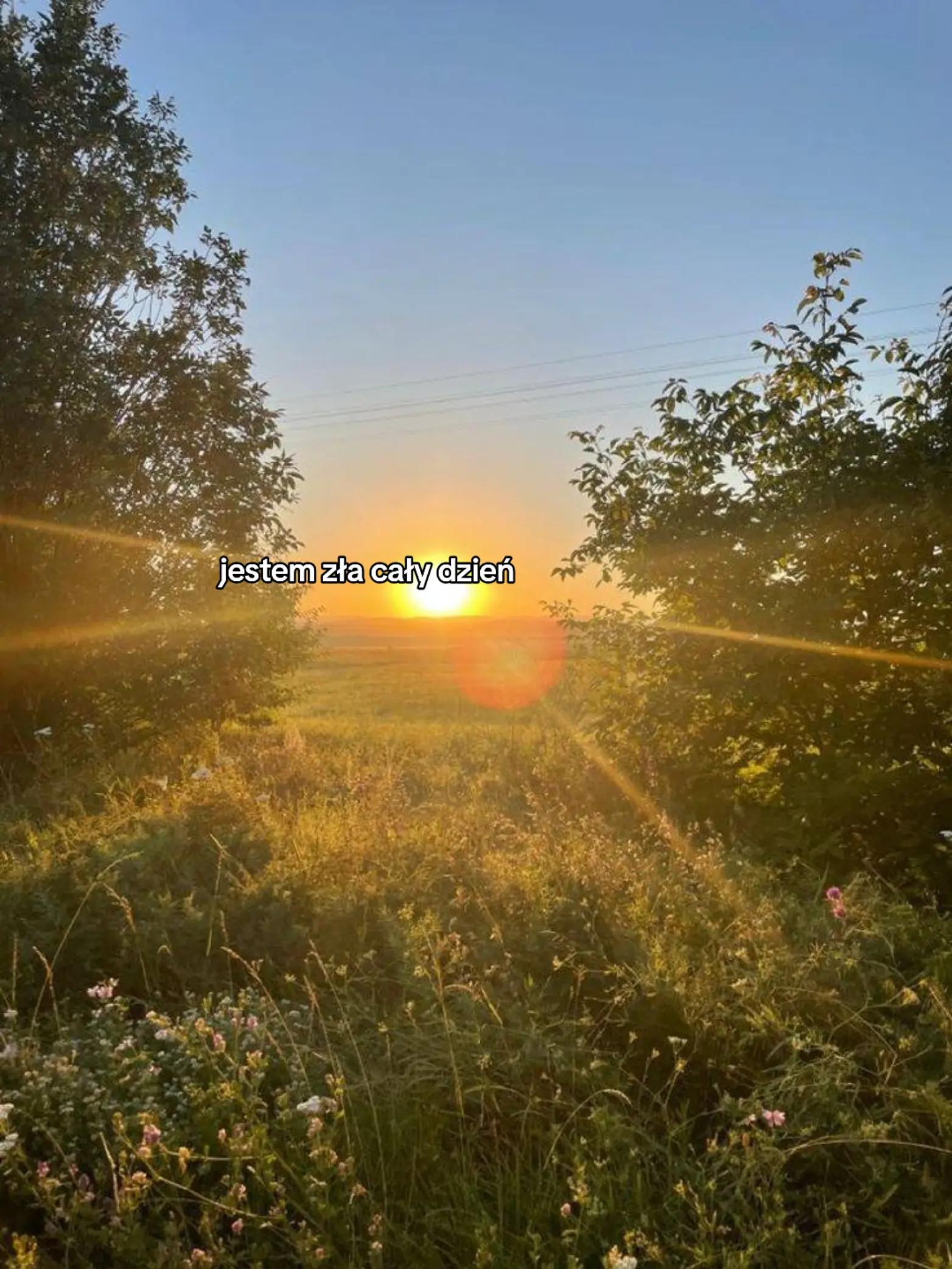 @Mค&eta;&iota;&alpha; II &alpha;ѕ&iota;&alpha;.ℓ&sigma;&nu;єяѕѕ