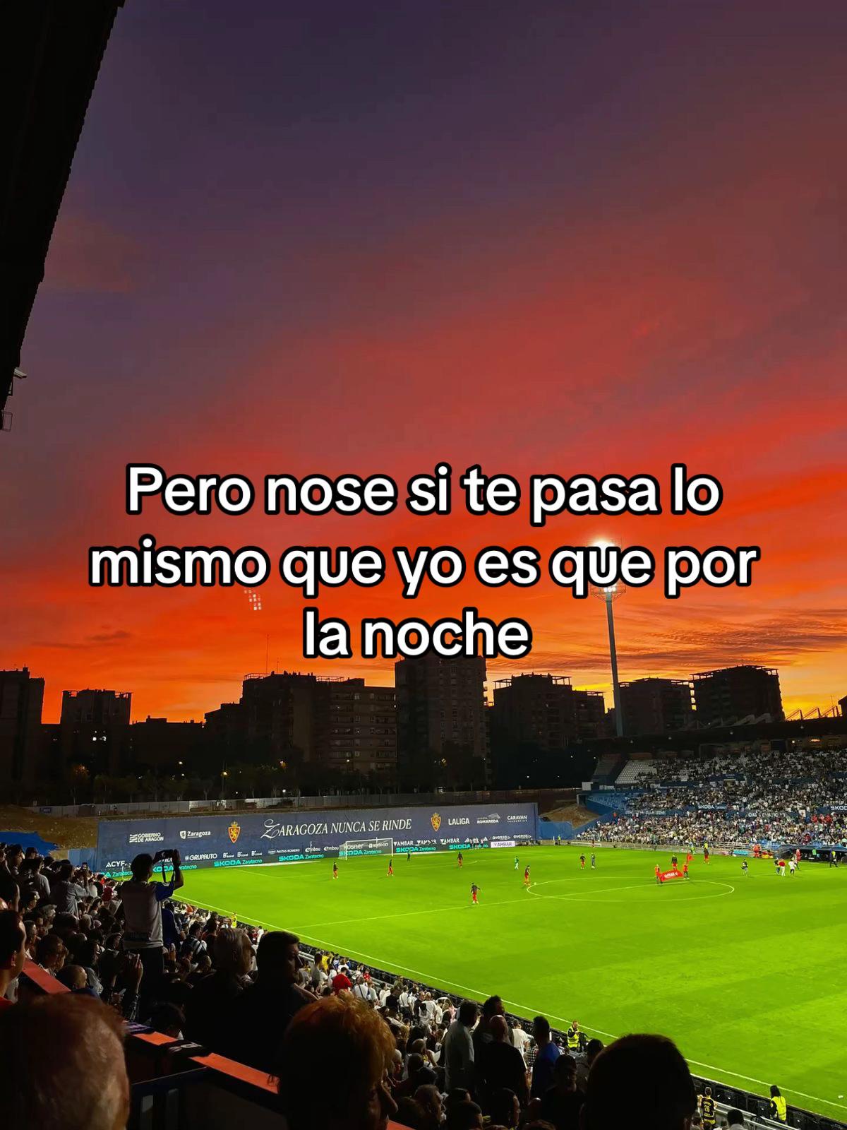@Reinado Zaragocista🤍💙🦁