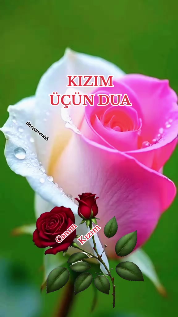 @.&bull;&deg; ✿ &deg;&bull;. 𝓓𝓮𝓻𝔂𝓪 &deg;&bull;. ✿ .&bull;&deg;