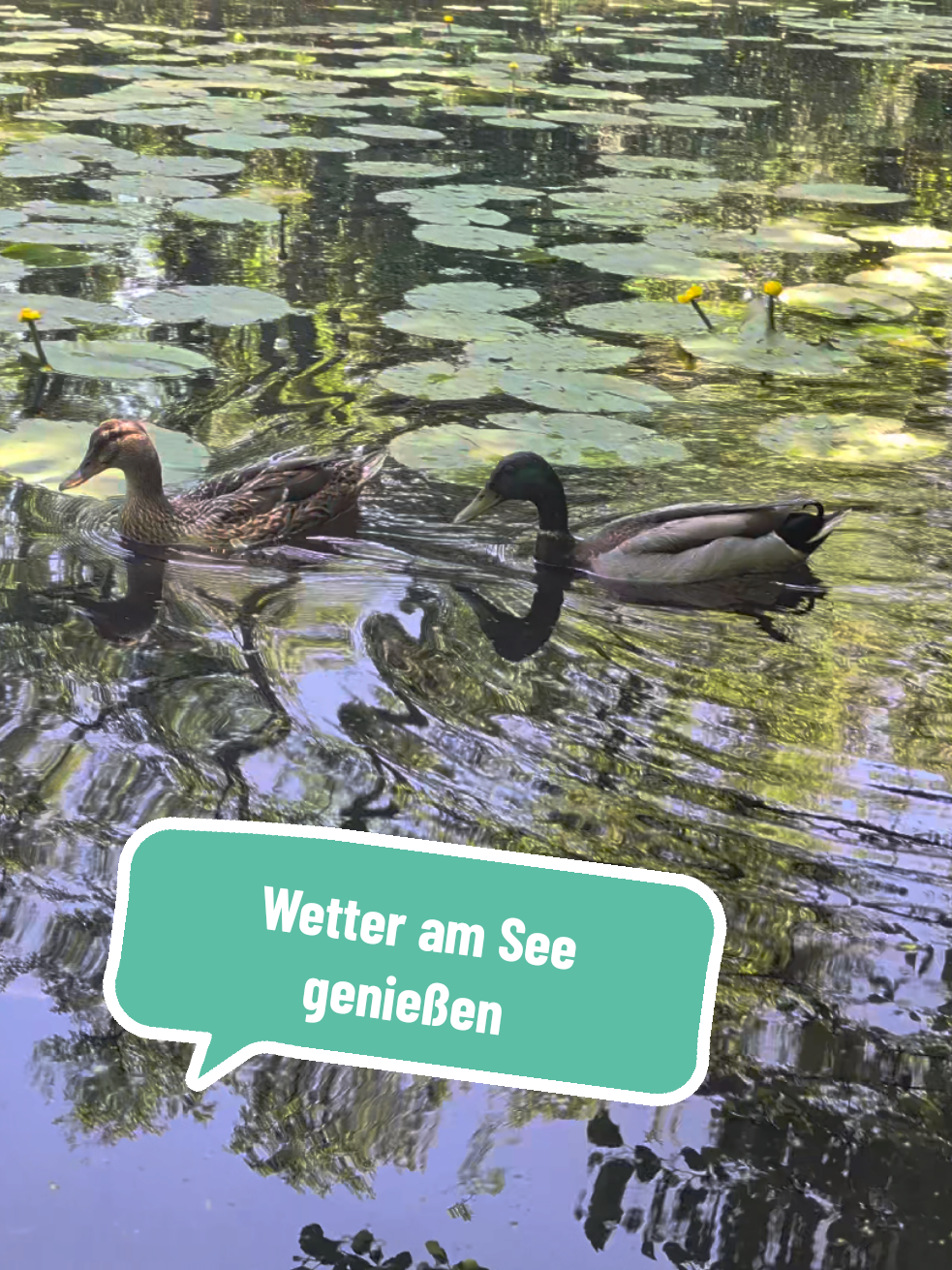 @Sarahskleinegrossewelt