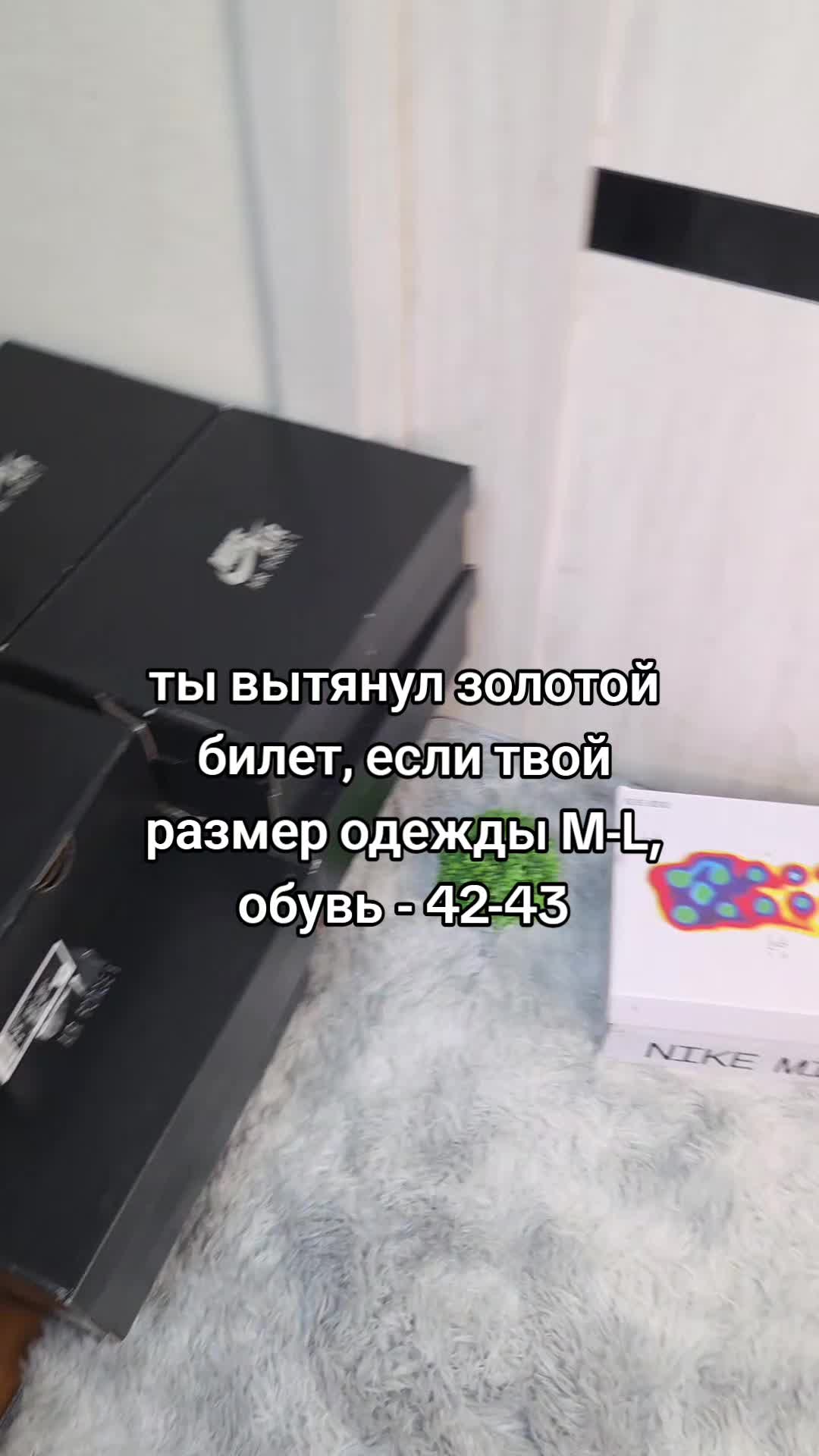@legacy.store