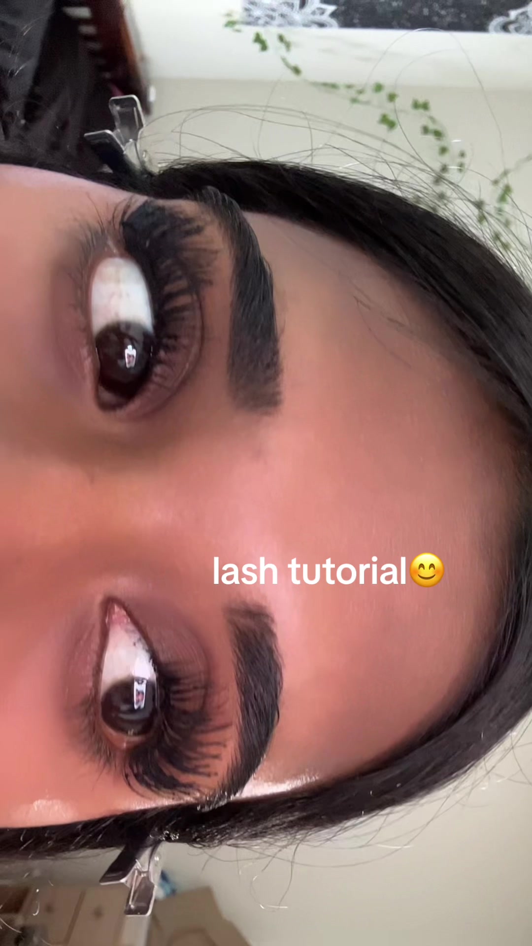 @brownalphasecret