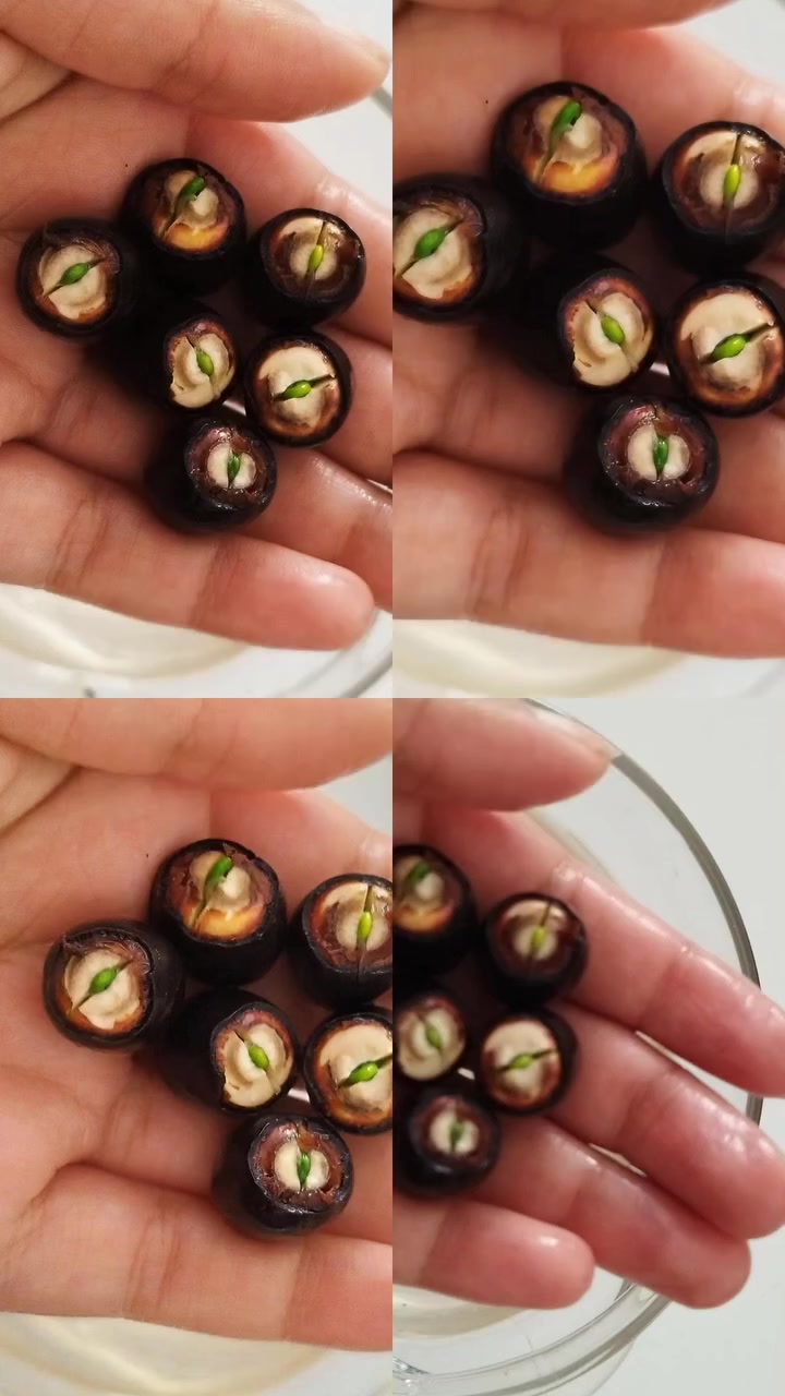 @Lotus bitki satışı