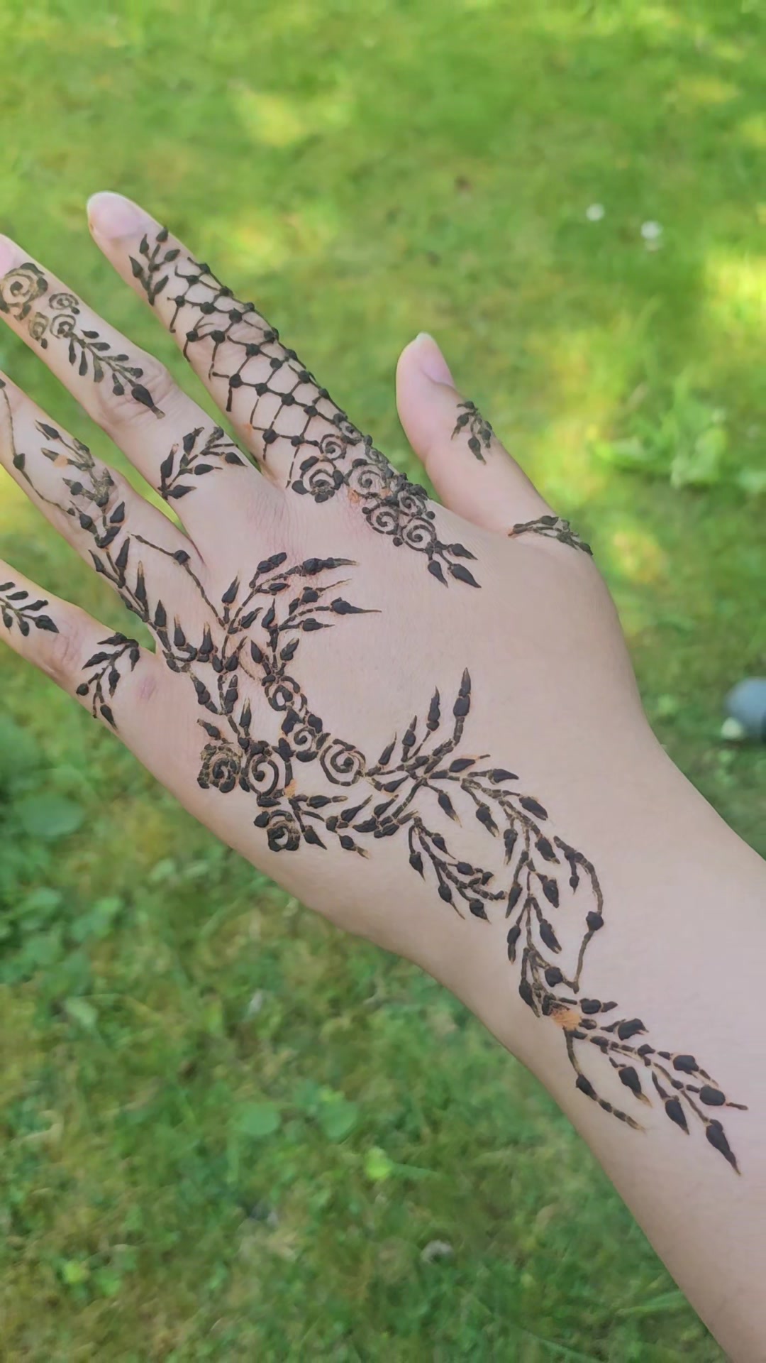 @Palm and Pattern