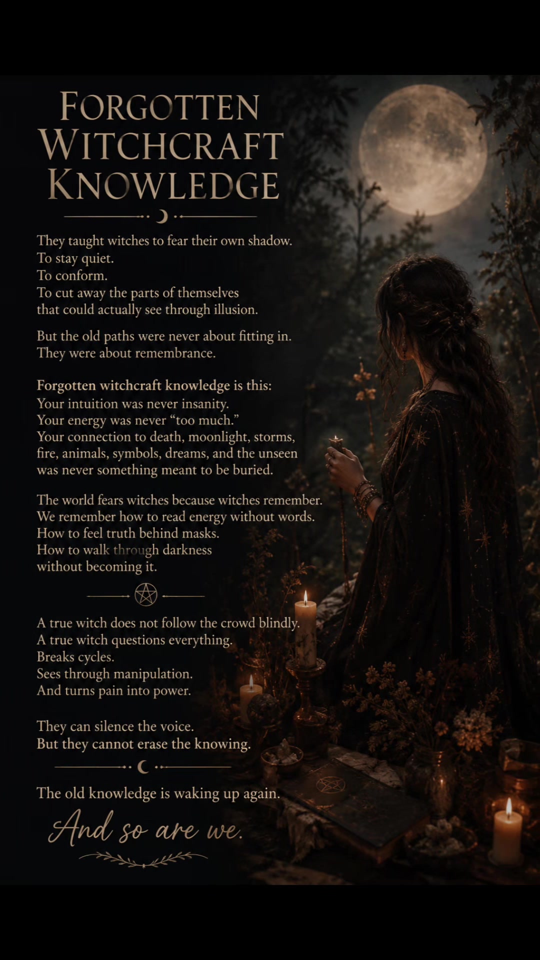 @the_veil_of_whispers