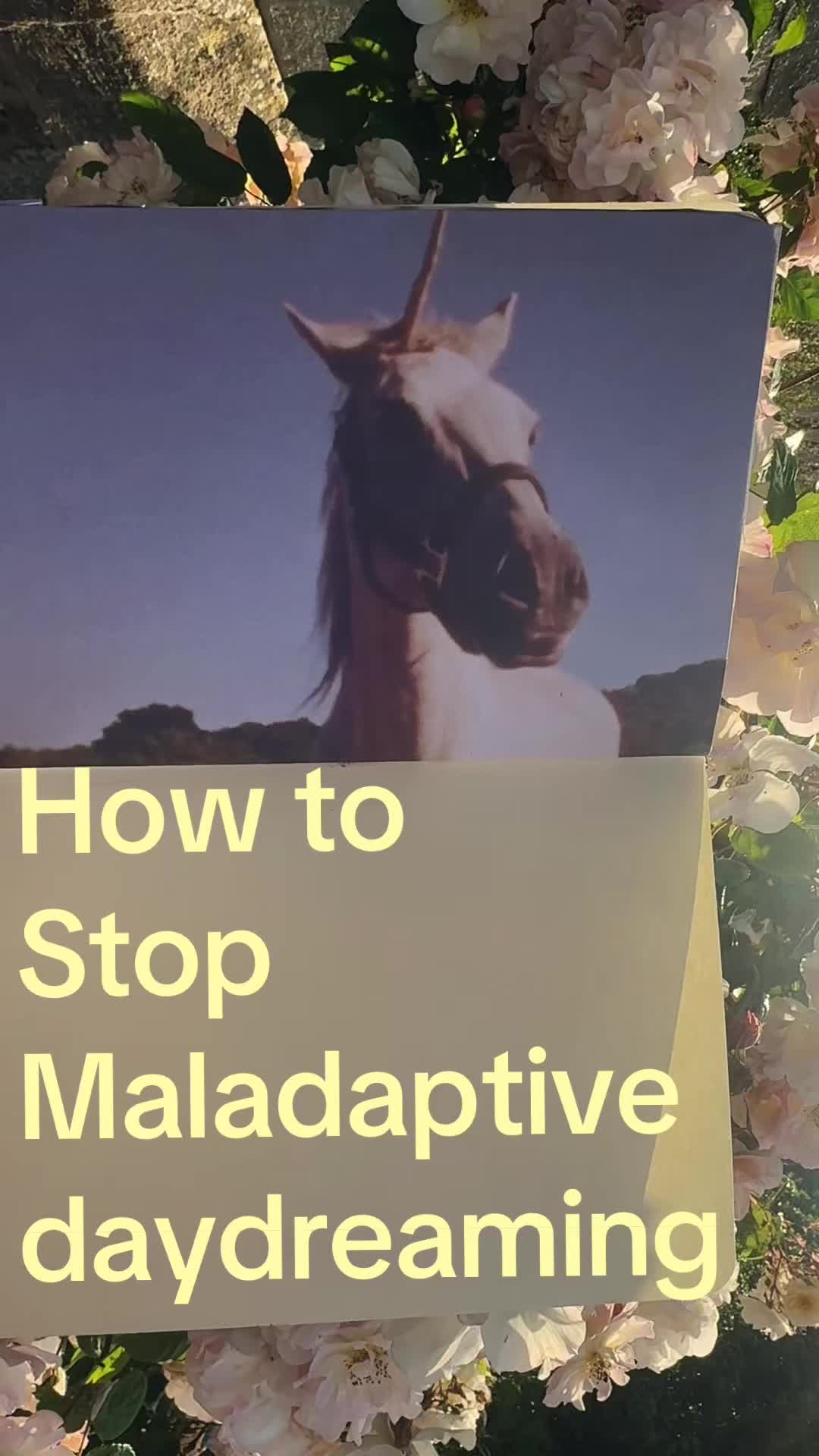 @lauren