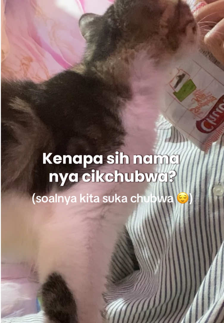 @Cikchubwa