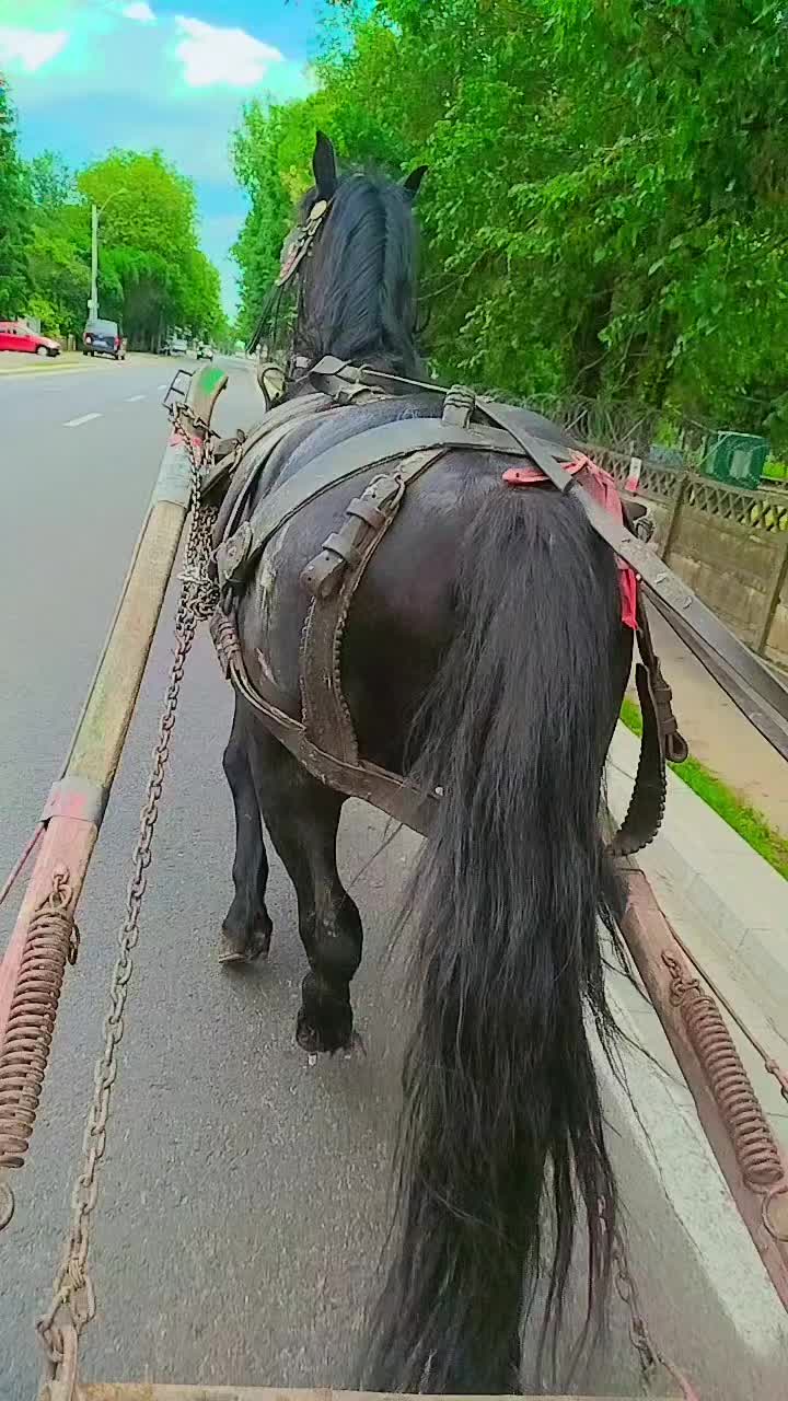 @Dan Dan Bobadieru