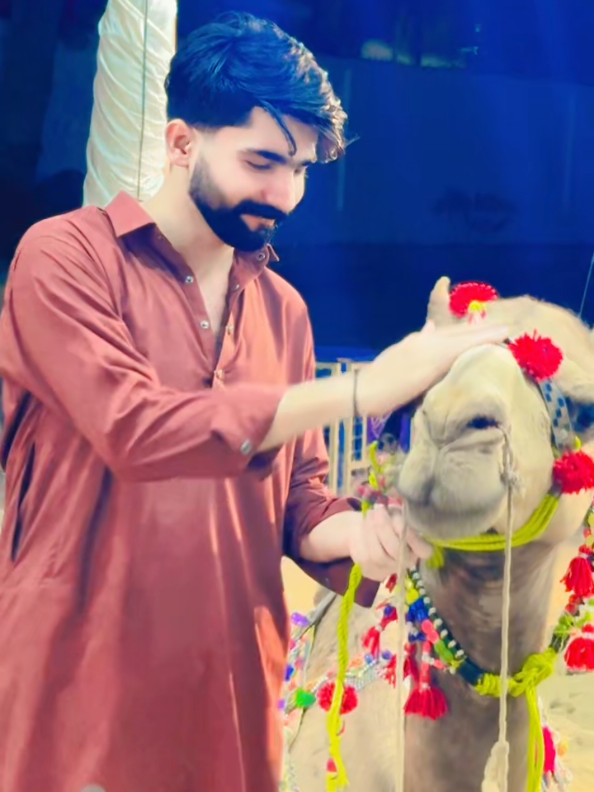 @shoaib arain 💛
