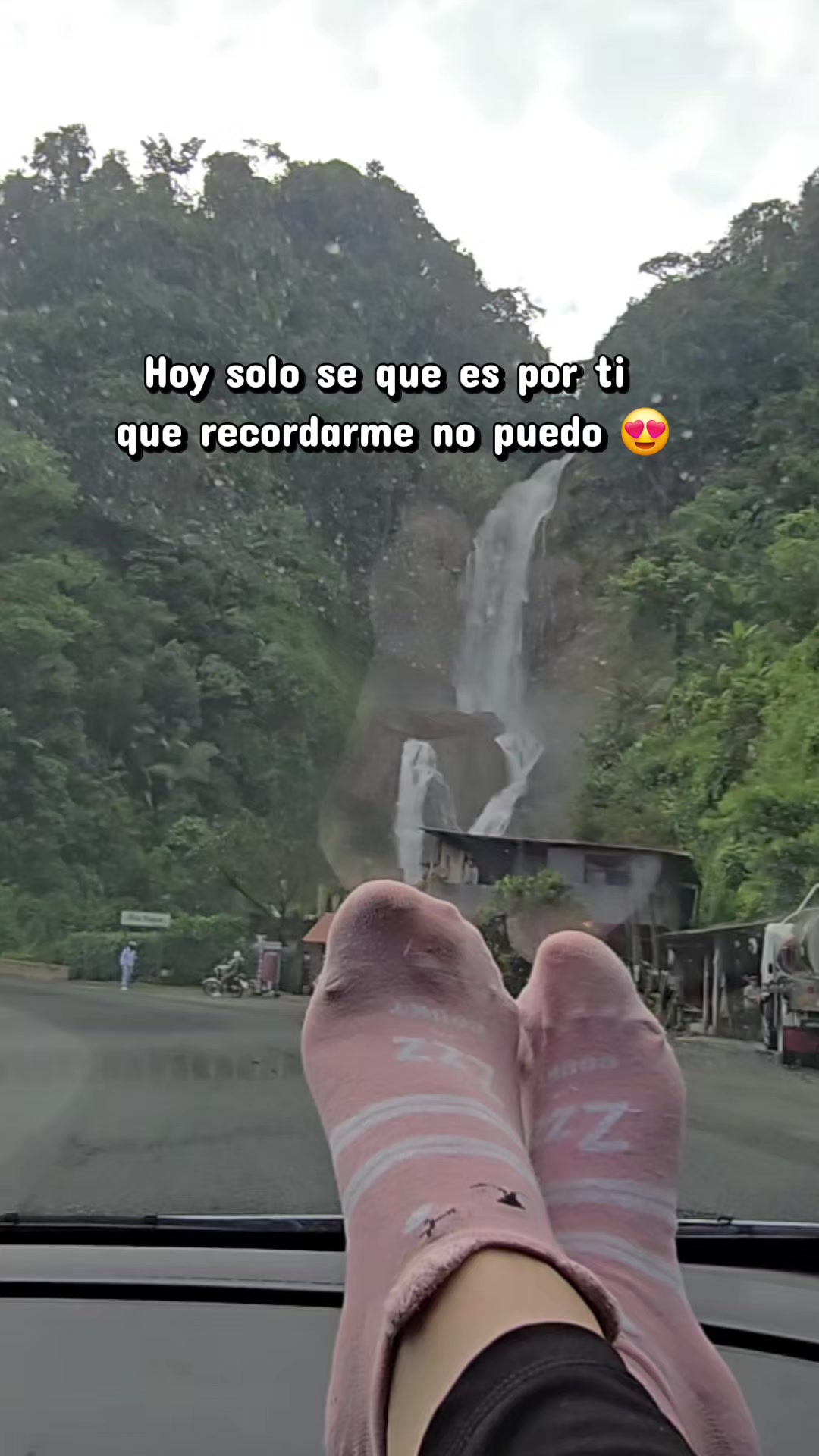 @Michu🐱🐶
