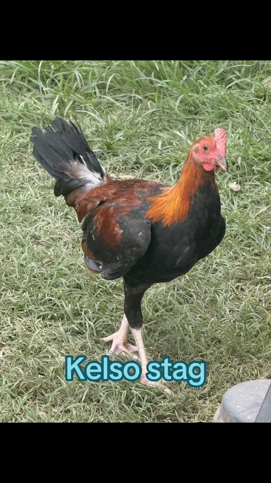 @Bryan Gamefarm