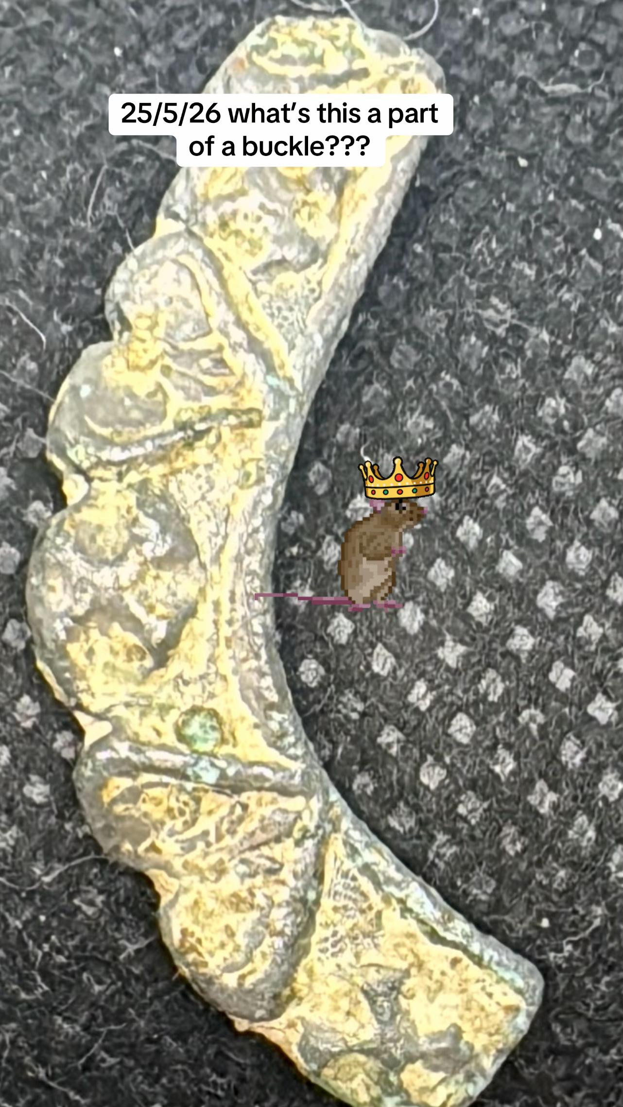 @SirKingRat