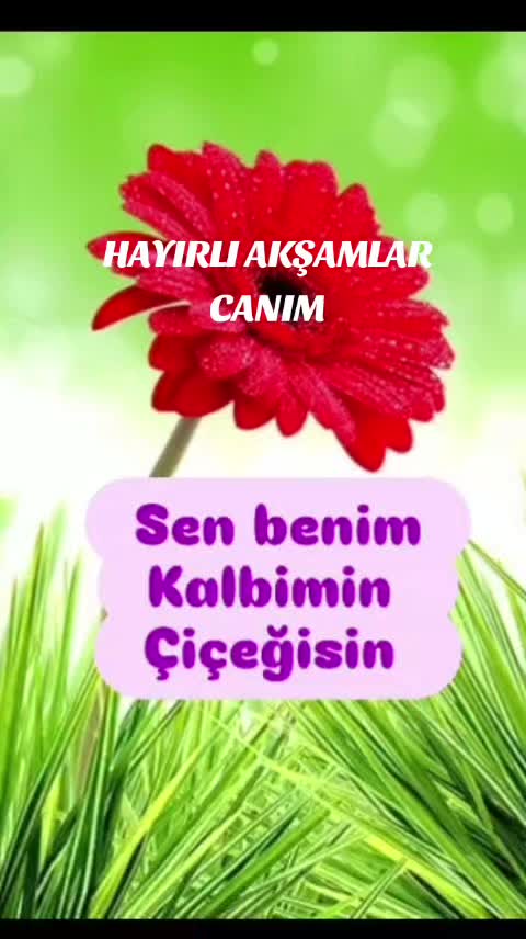 @Hasan Yılmaz