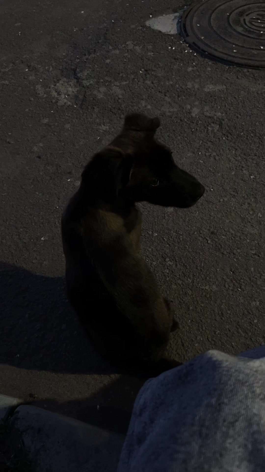 @Соффийка