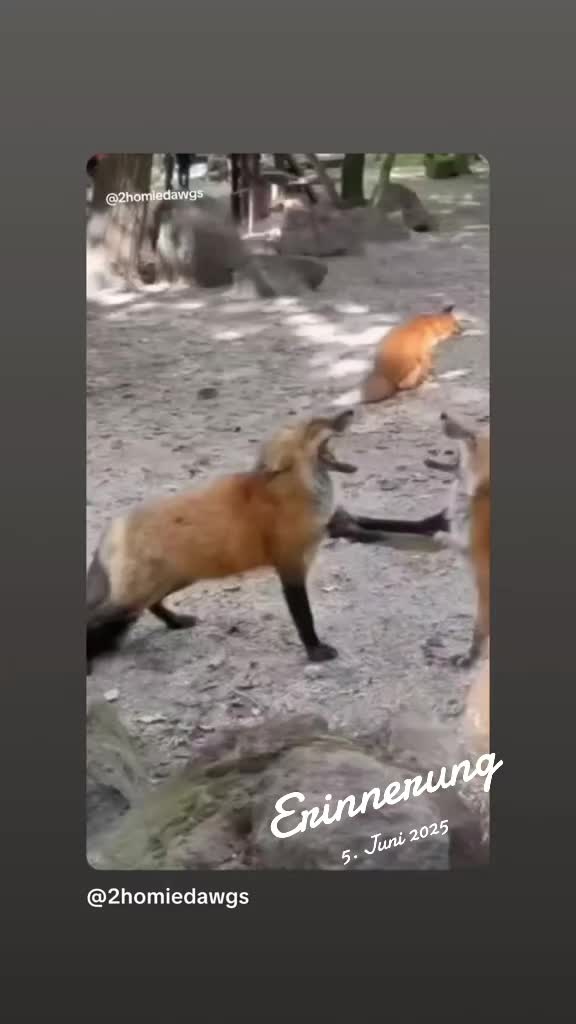 @𝕵𝖔𝖓𝖊𝖘