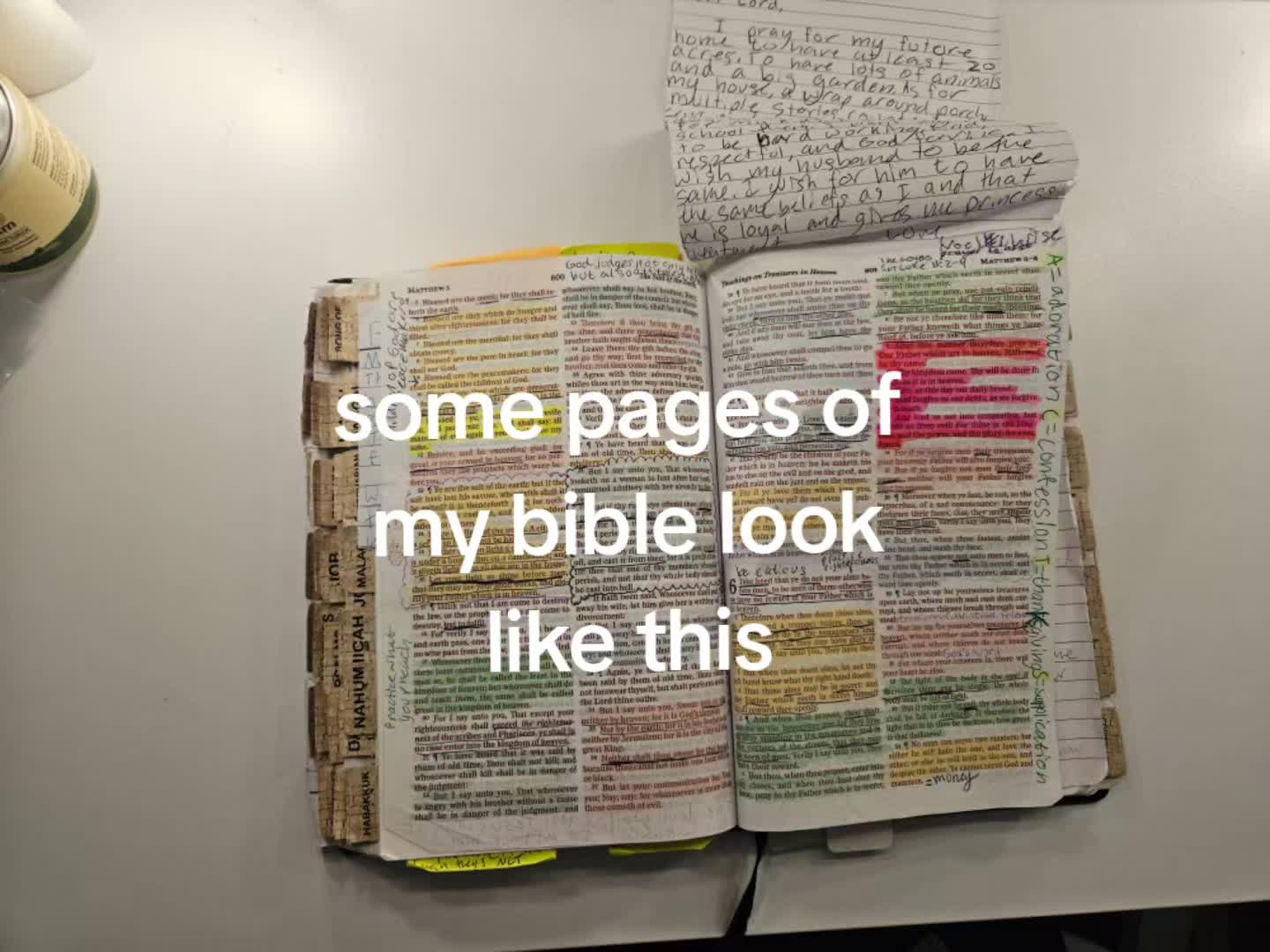 @Noelle Wise