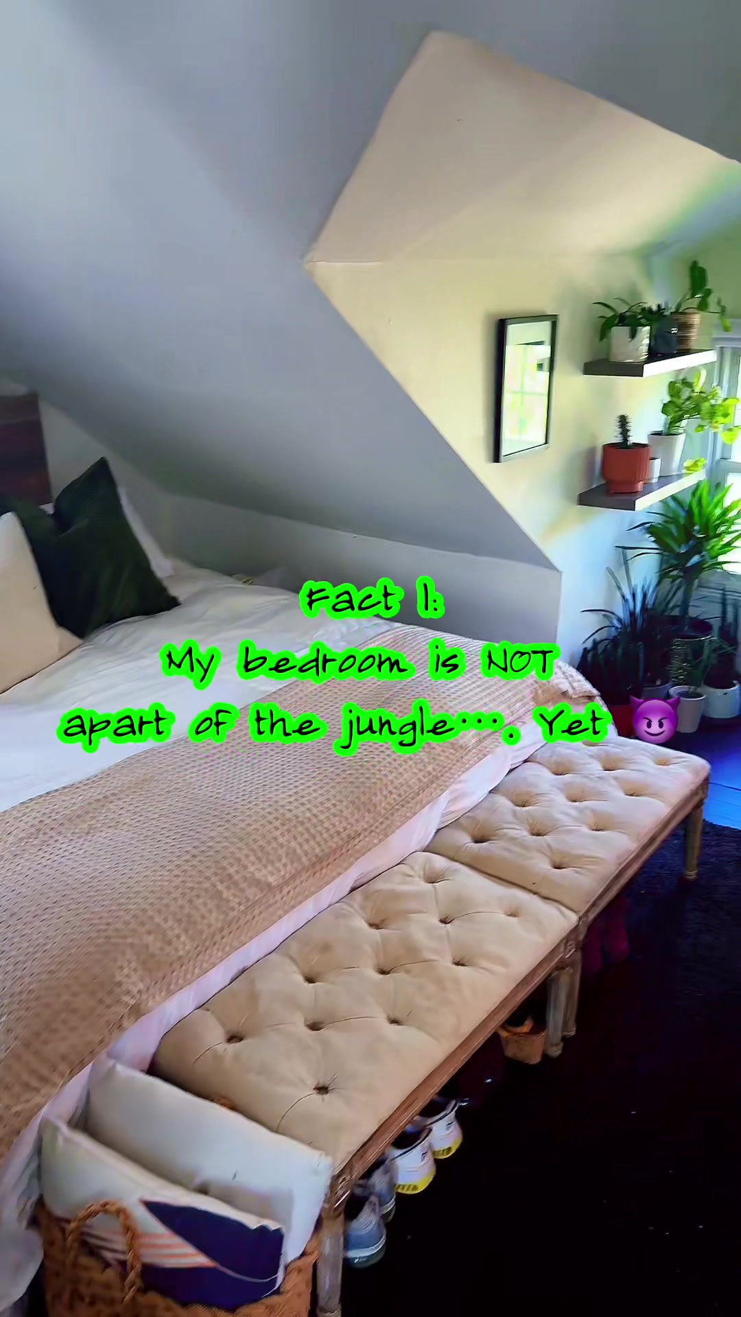 @PlantLadyNico🪴