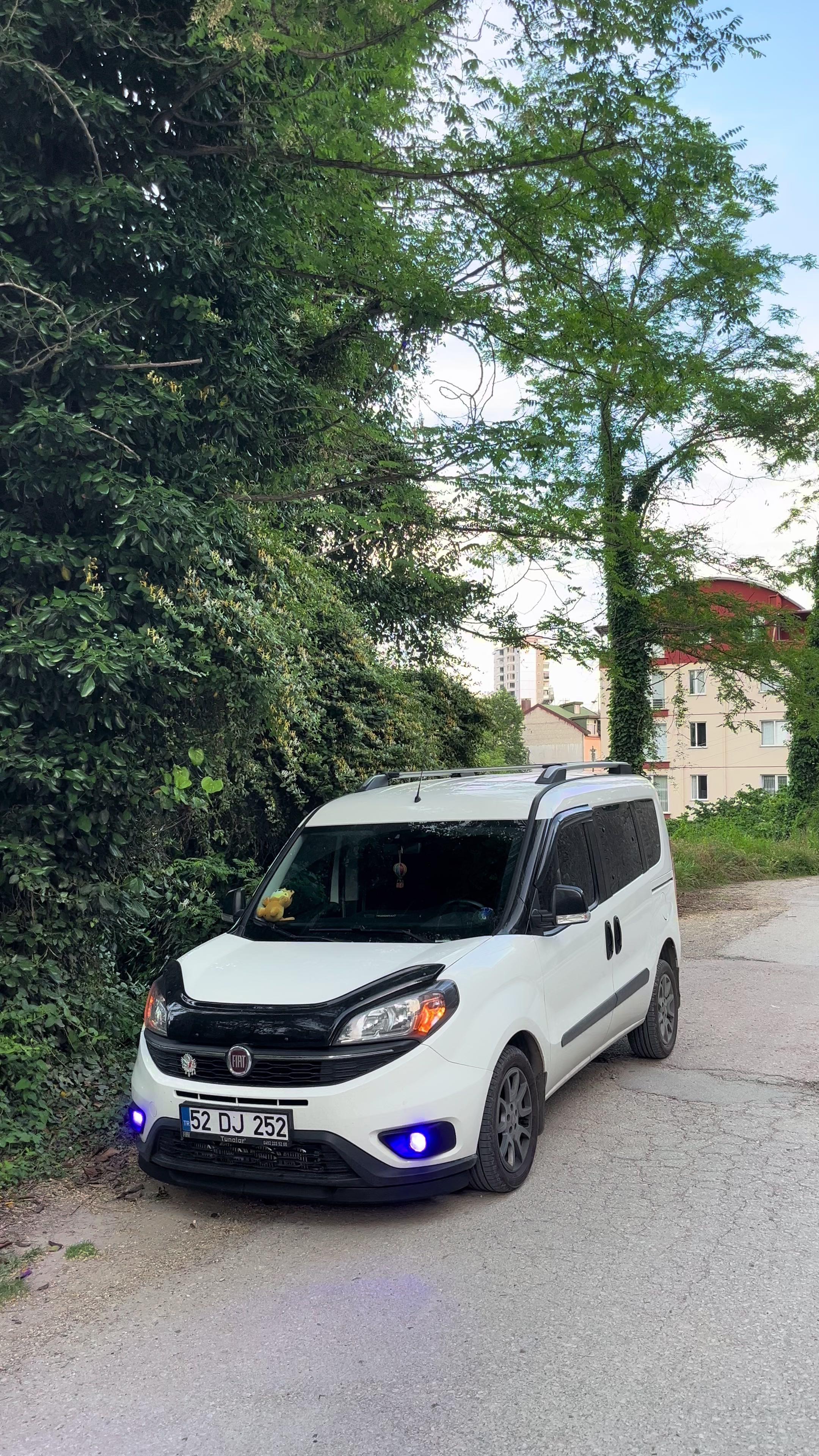 @Mertcan Asılı