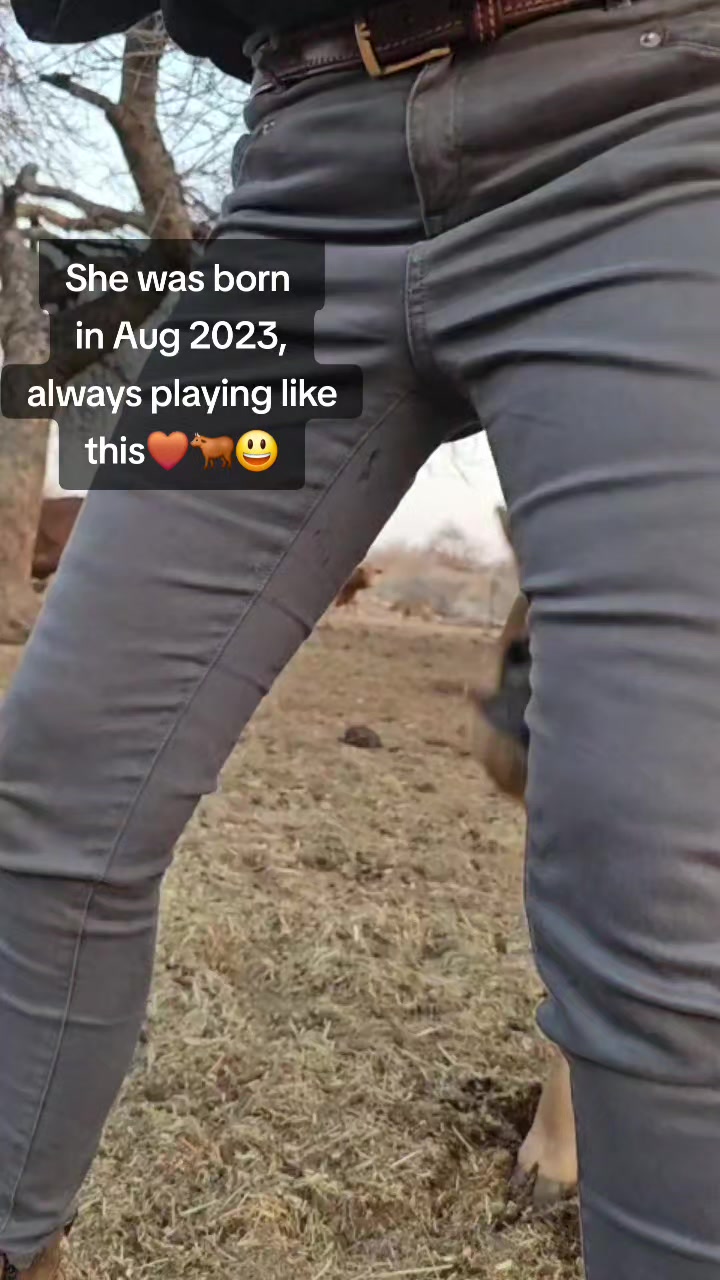 @jolandawolfaardt