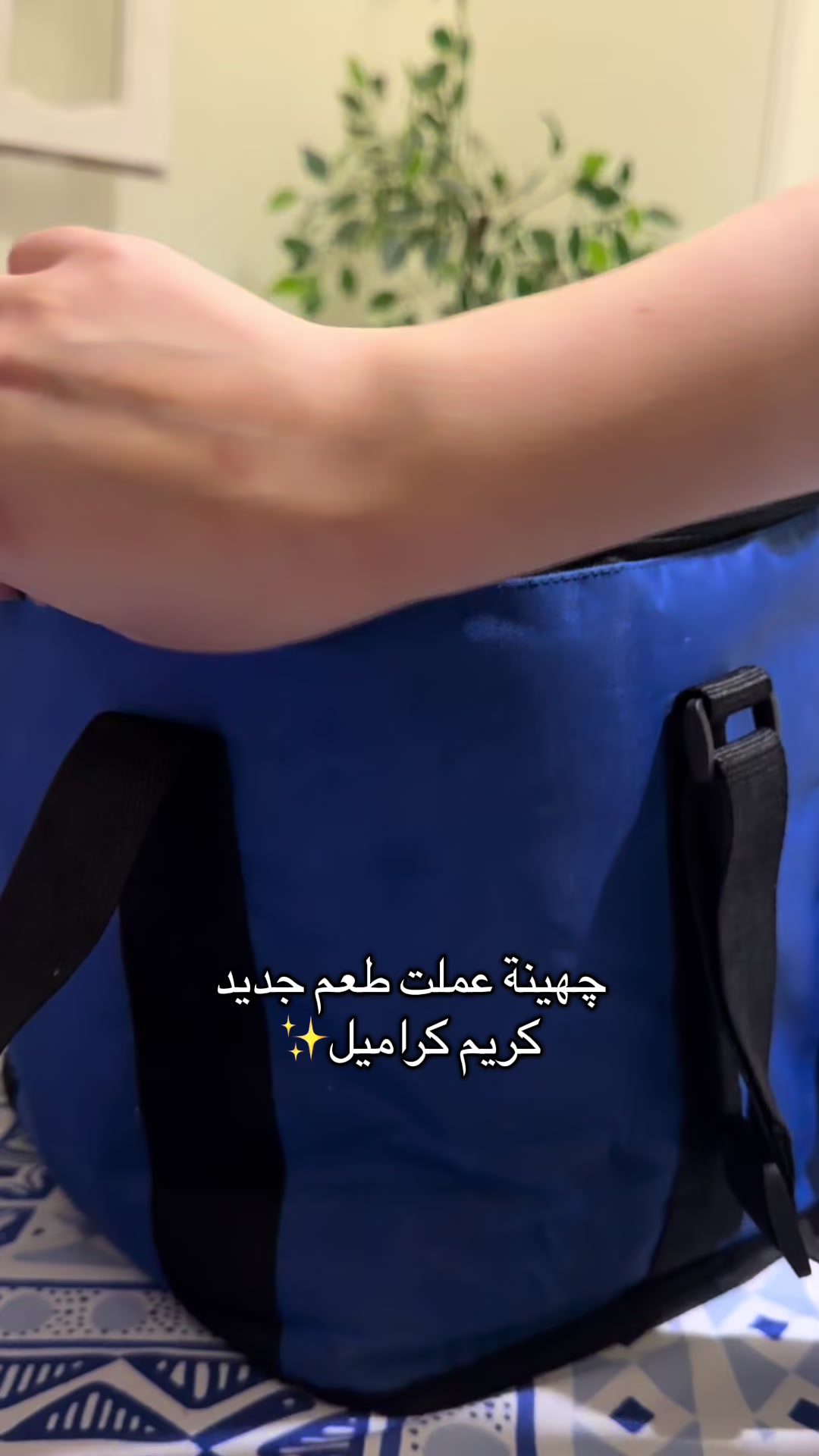 @Toka Shahien