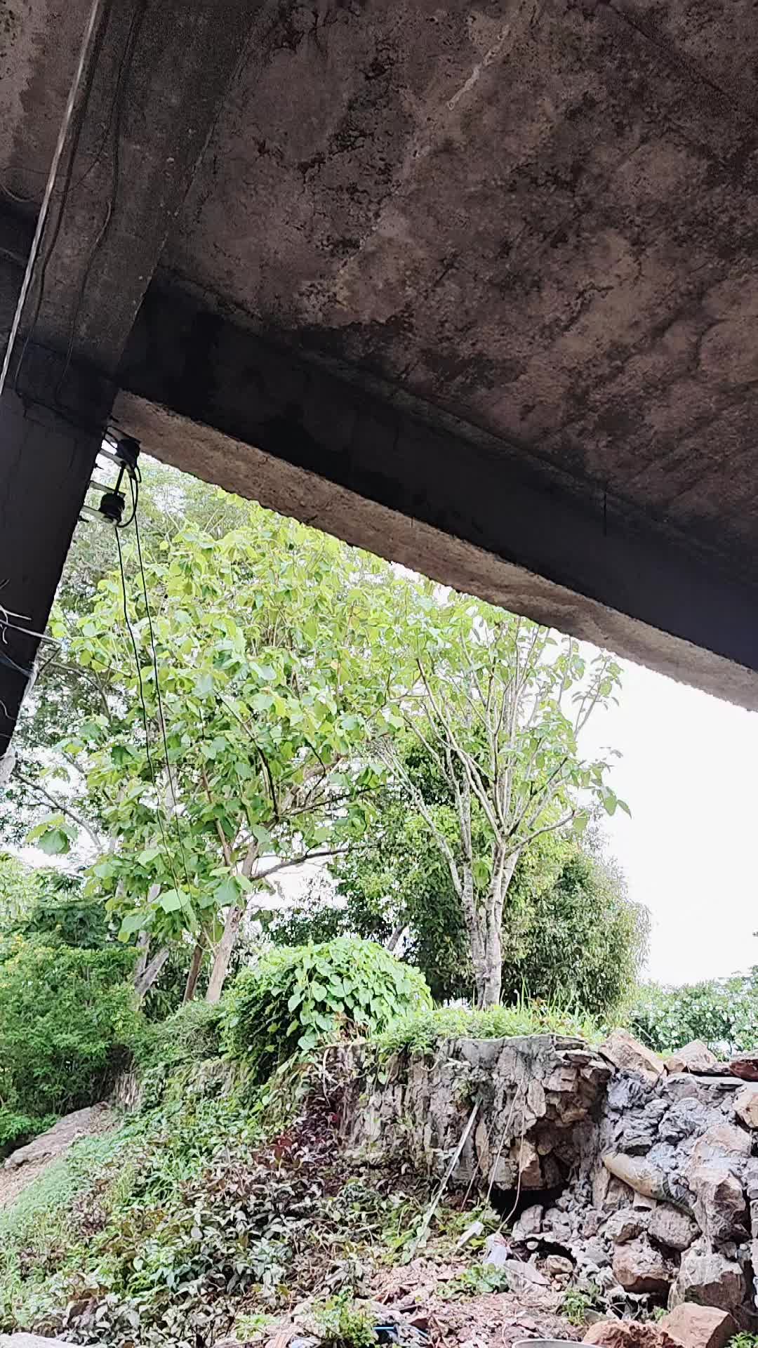 @saitai