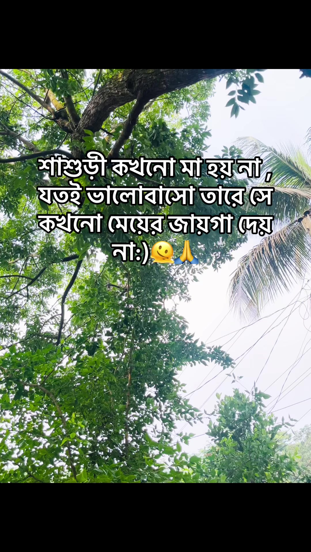@💫Sᴇɴɪᴏʀ Pᴏᴏᴋɪᴇ 🍒🦋
