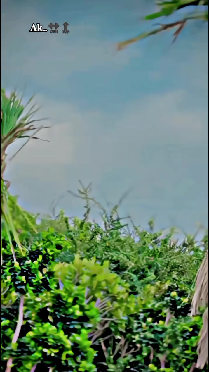@🇧🇶😎 𝙰𝐊 𝔹𝑹ᴀ𝗡D̶ 🇧🇶317