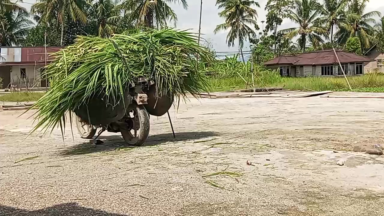 @mas Eko