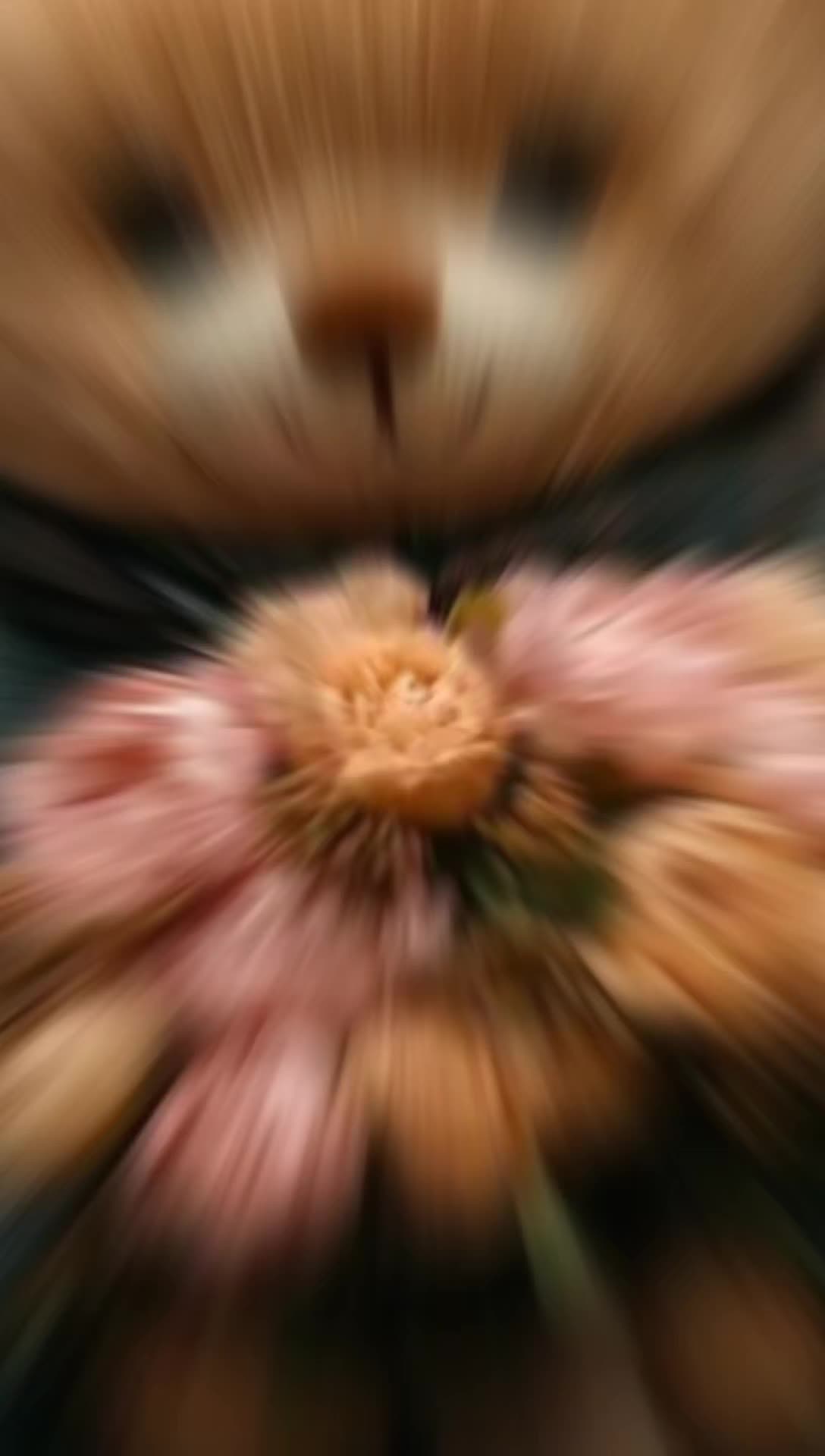 @🎧🕊️🅐︎🅛︎🅞︎🅝︎🅔︎🕊️🎧