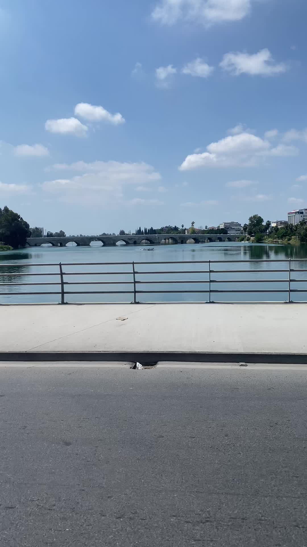 @ŞAHİN_01