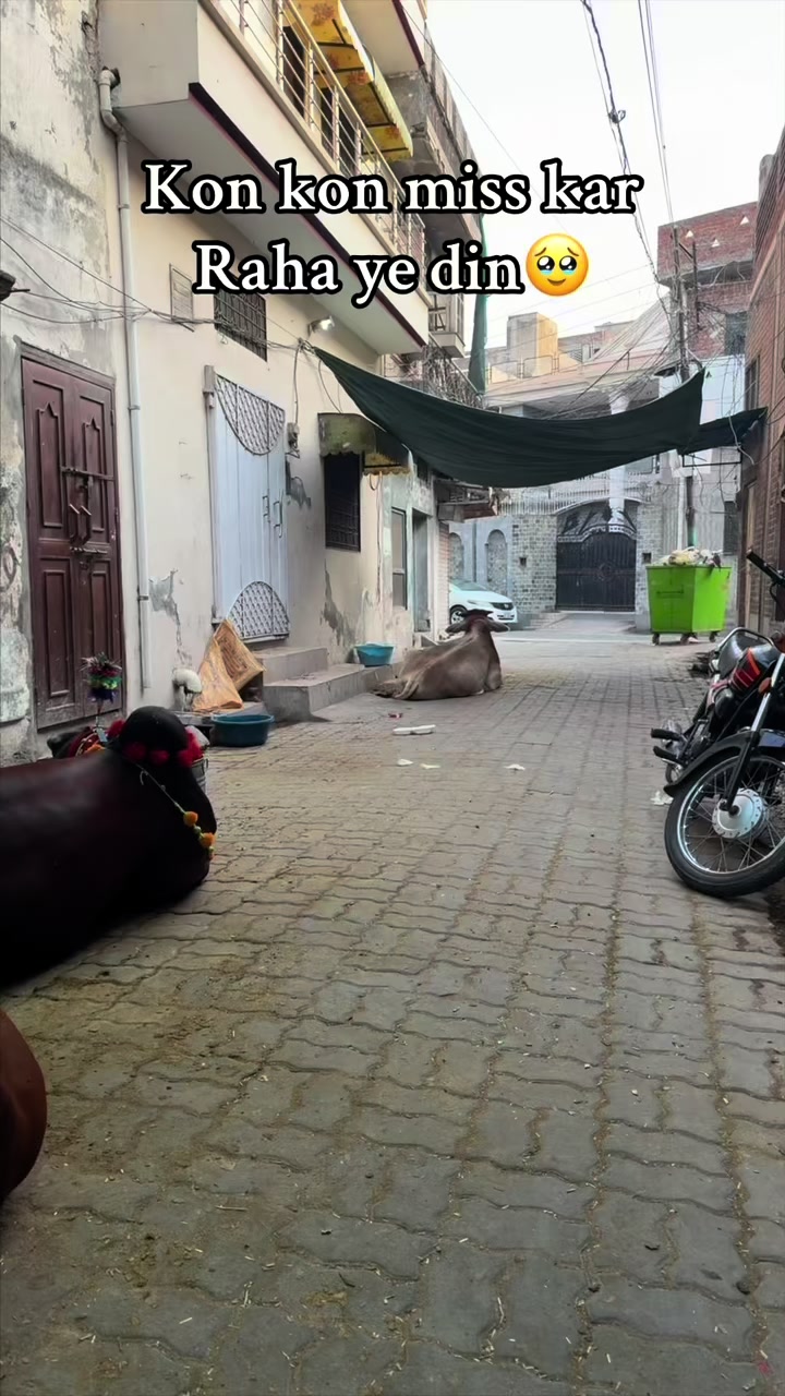 @Stylo hassan official