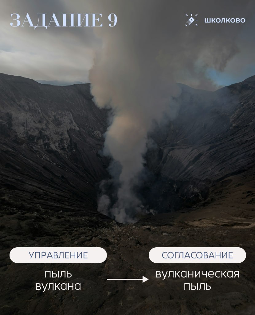 @Ксения Сумина